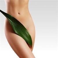 Body Wax Treatments